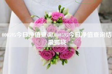 000595今日净值查询,000595今日净值查询结果揭晓