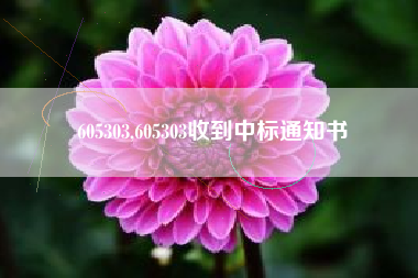 605303,605303收到中标通知书
