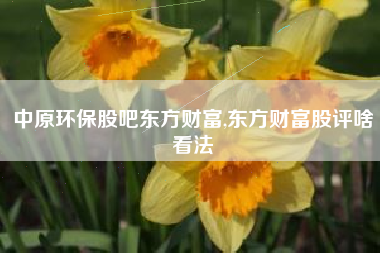 中原环保股吧东方财富,东方财富股评啥看法