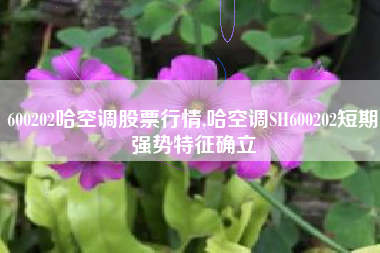 600202哈空调股票行情,哈空调SH600202短期强势特征确立