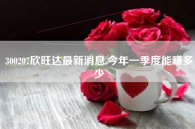 300207欣旺达最新消息,今年一季度能赚多少