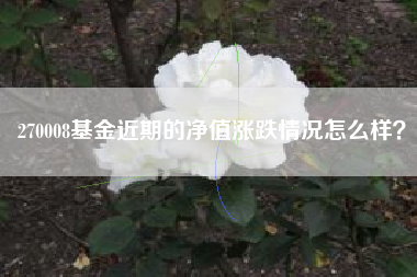 270008基金近期的净值涨跌情况怎么样？