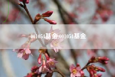 001054基金,001054基金
