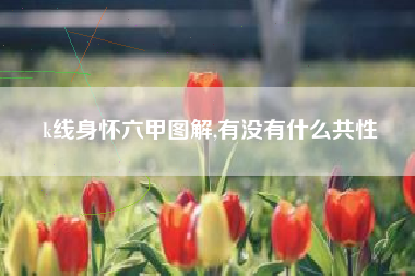 k线身怀六甲图解,有没有什么共性