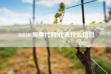 368101股票代码,代表什么信息