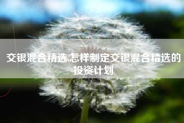 交银混合精选,怎样制定交银混合精选的投资计划