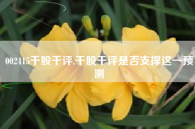 002415千股千评,千股千评是否支撑这一预测