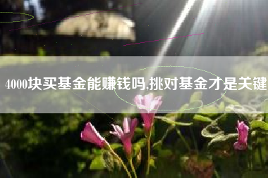 4000块买基金能赚钱吗,挑对基金才是关键