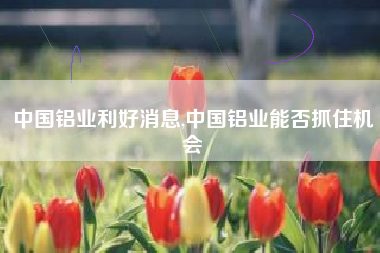 中国铝业利好消息,中国铝业能否抓住机会