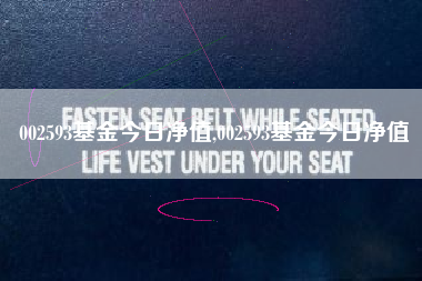 002593基金今日净值,002593基金今日净值
