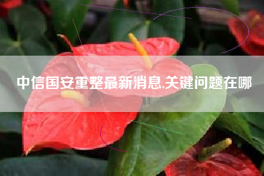 中信国安重整最新消息,关键问题在哪