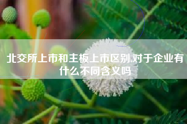 北交所上市和主板上市区别,对于企业有什么不同含义吗