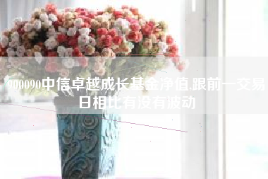 900090中信卓越成长基金净值,跟前一交易日相比有没有波动