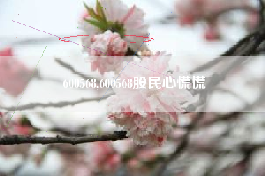 600568,600568股民心慌慌