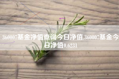 360007基金净值查询今日净值,360007基金今日净值0.6231