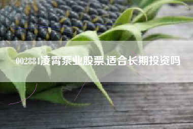 002884凌霄泵业股票,适合长期投资吗