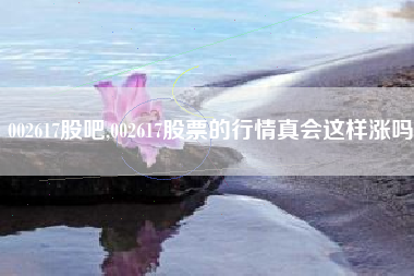 002617股吧,002617股票的行情真会这样涨吗