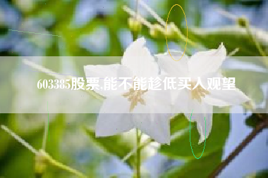 603385股票,能不能趁低买入观望