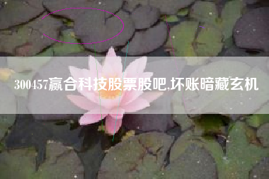 300457赢合科技股票股吧,坏账暗藏玄机