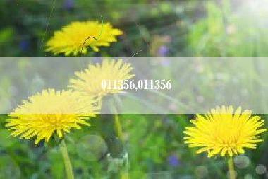 011356,011356
