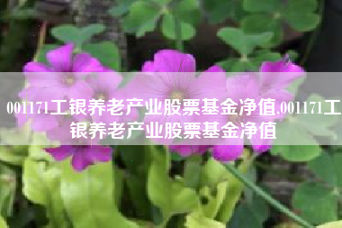 001171工银养老产业股票基金净值,001171工银养老产业股票基金净值