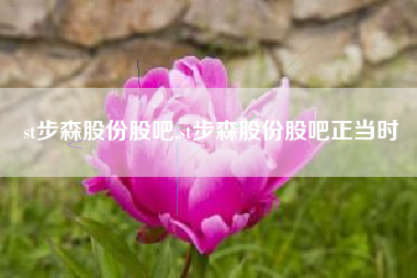 st步森股份股吧,st步森股份股吧正当时
