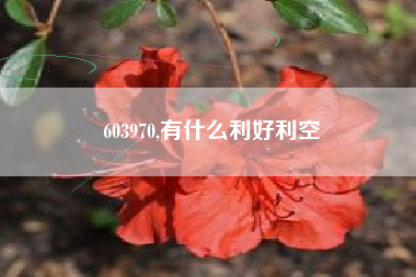 603970,有什么利好利空