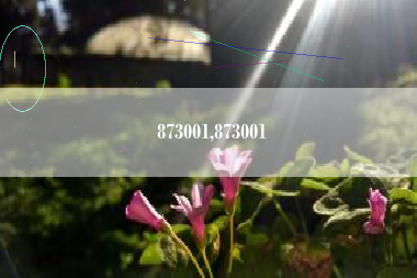 873001,873001