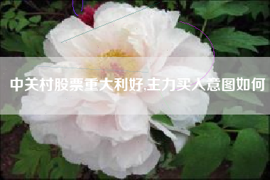 中关村股票重大利好,主力买入意图如何