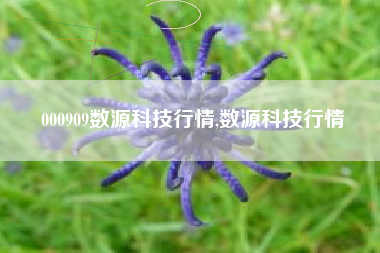 000909数源科技行情,数源科技行情
