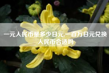 一元人民币是多少日元,一百万日元兑换人民币合适吗