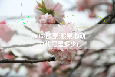 300152股票(股票心动
力代号是多少) 300152股票(股票心动
力代号是多少)