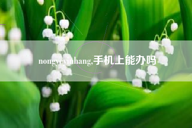 nongyeyinhang,手机上能办吗