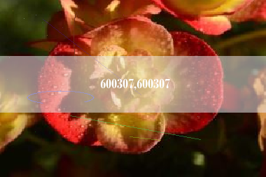 600307,600307