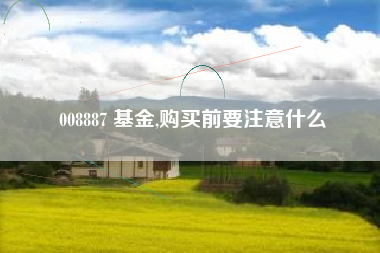 008887 基金,购买前要注意什么