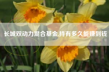 长城双动力混合基金,持有多久能赚到钱