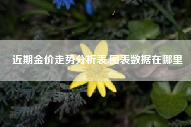 近期金价走势分析表,图表数据在哪里