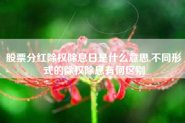 股票分红除权除息日是什么意思,不同形式的除权除息有何区别