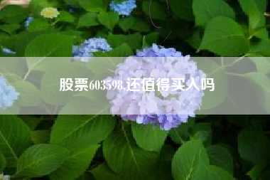 股票603598,还值得买入吗