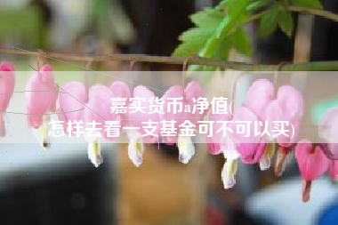 嘉实货币a净值(
怎样去看一支基金可不可以买)