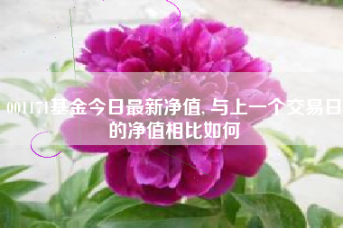 001171基金今日最新净值, 与上一个交易日的净值相比如何