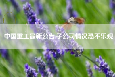 中国重工最新公告,子公司情况恐不乐观