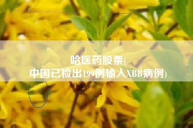 哈医药股票(
中国已检出199例输入XBB病例)