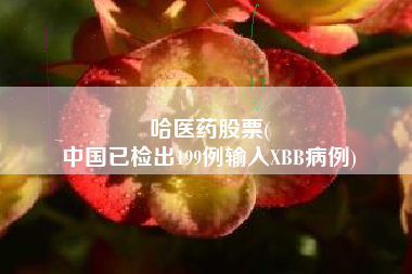 哈医药股票(
中国已检出199例输入XBB病例)