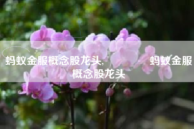 蚂蚁金服概念股龙头,सा है蚂蚁金服概念股龙头