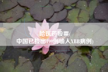 哈医药股票(
中国已检出199例输入XBB病例)