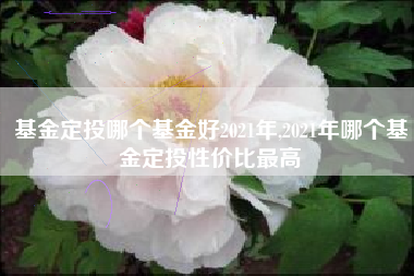 基金定投哪个基金好2021年,2021年哪个基金定投性价比最高