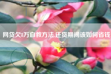 网贷欠8万自救方法,还贷期间该如何省钱