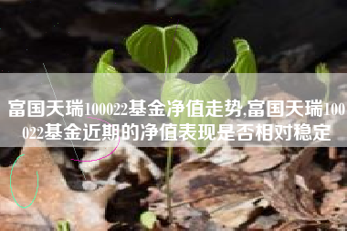 富国天瑞100022基金净值走势,富国天瑞100022基金近期的净值表现是否相对稳定