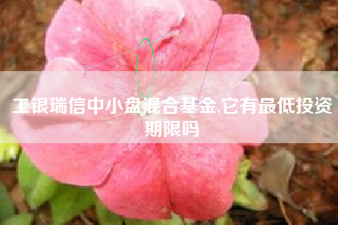 工银瑞信中小盘混合基金,它有最低投资期限吗